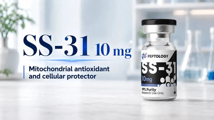 SS-31 (Elamipretide): μιτοχονδριακή αναγέννηση και κυτταρική ενέργεια